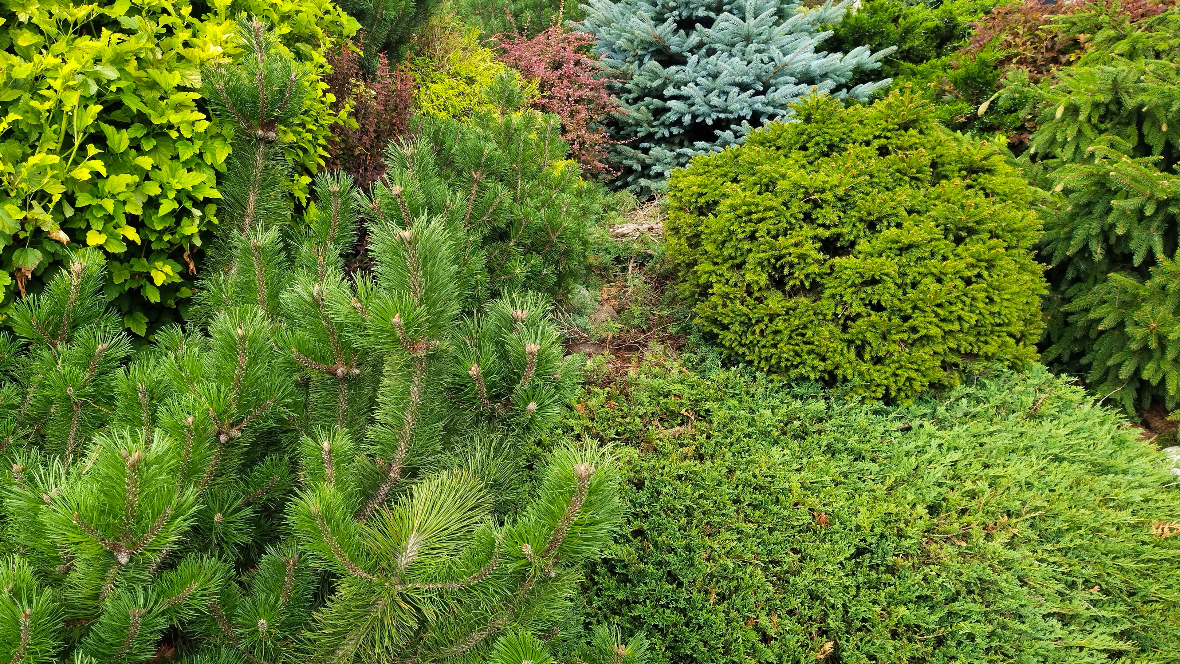 vsevolod-manych-K9YZxfNzzc4-unsplash